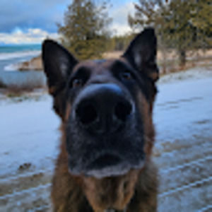 Meet your Posher, Megan